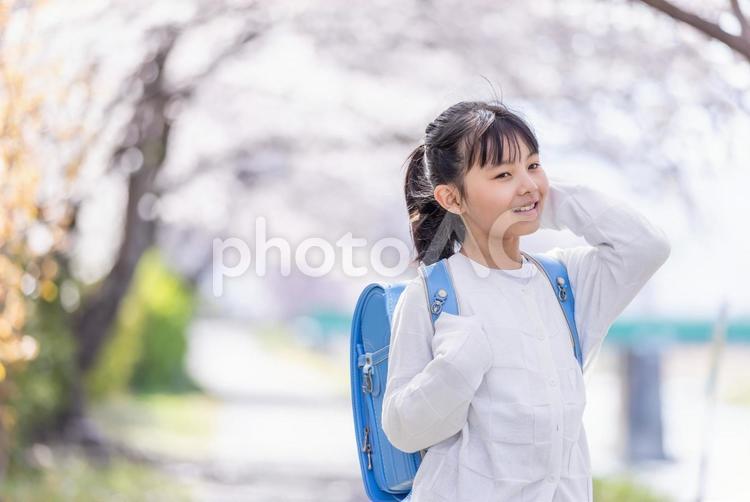 桜の木の下で微笑む女の子　 桜,小学生,ランドセルの写真素材