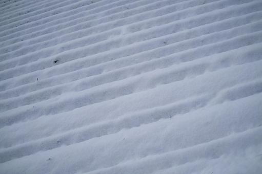 雪 雪の写真