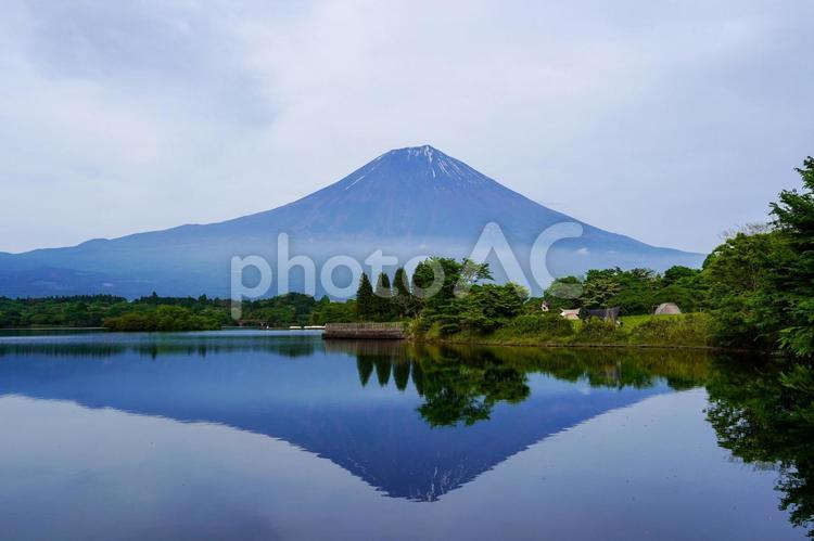 新緑の季節の田貫湖の富士山② 富士山,山,田貫湖の写真素材