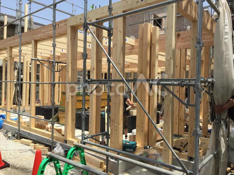 木造建築の工事・骨組み 木造,建築,骨組みの写真素材