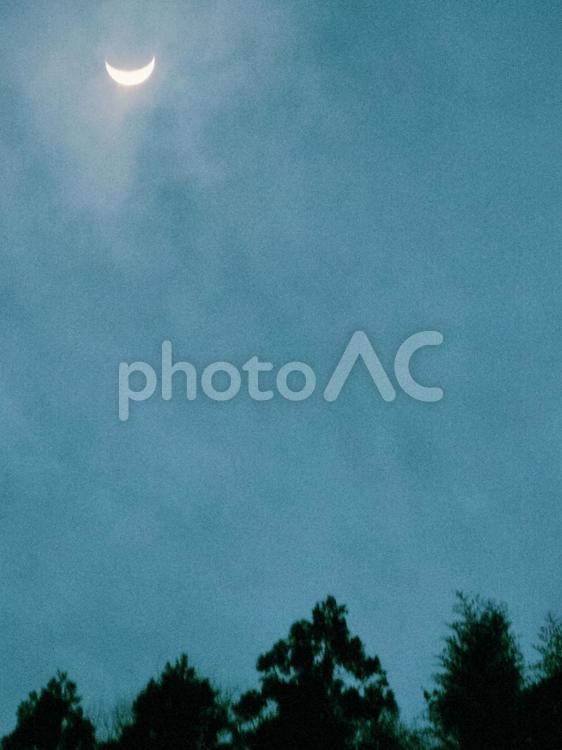 月と木立 月,空,夜空の写真素材