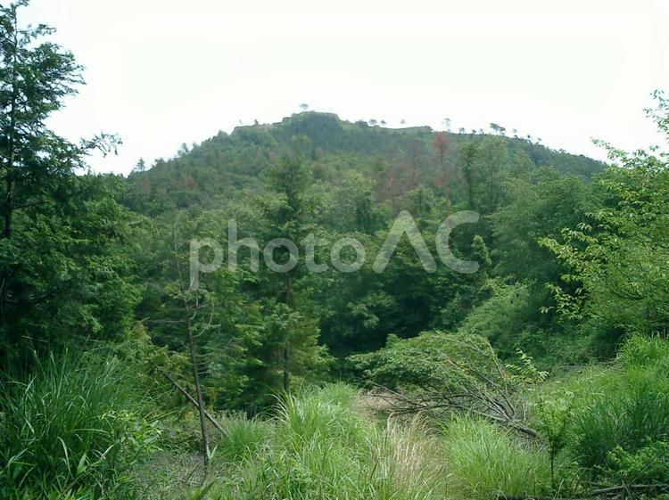 竹田城 竹田城,和田山,朝来の写真素材