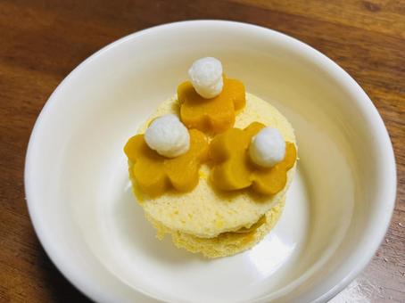 Photo, cake, dog cake, pumpkin, 