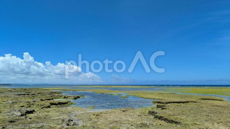 梅雨明けの日の読谷村の浜2 沖縄,空,雲の写真素材