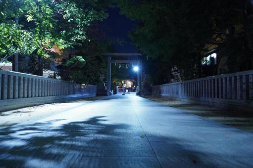 深夜の松戸神社、正面の参道 神社仏閣,神社,必勝祈願の写真素材