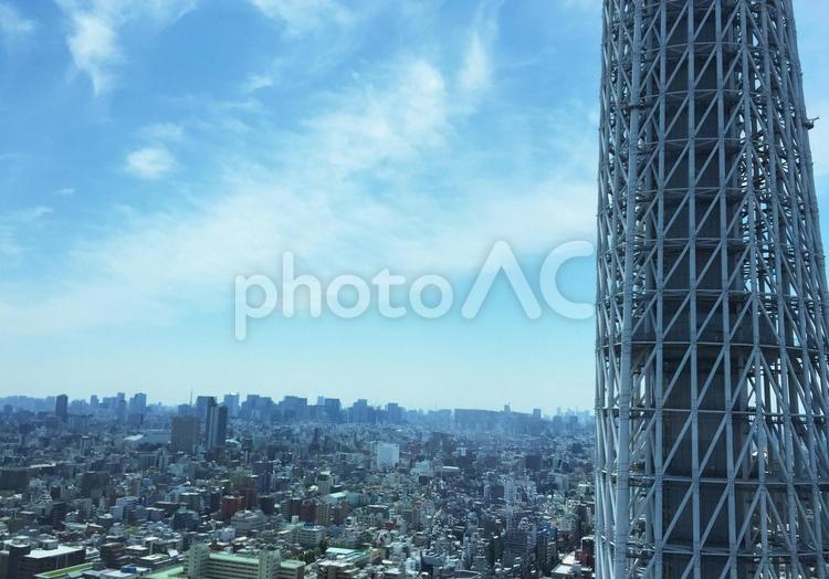 東京スカイツリーと街並み 東京スカイツリー,スカイツリー,街並みの写真素材