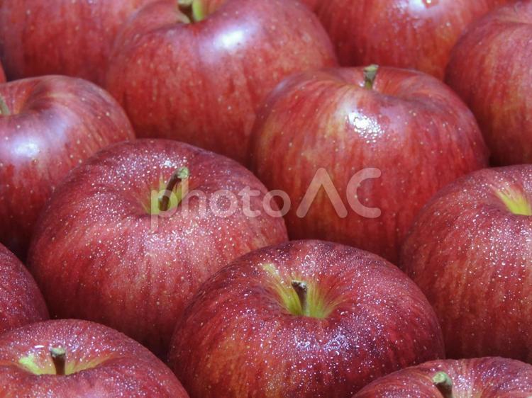 りんご（シナノスイート） リンゴ,りんご,林檎の写真素材