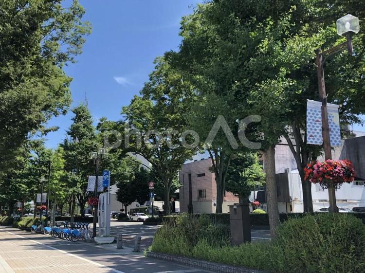 青空と街並み 街並み,花,青空の写真素材