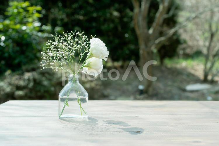 木製テーブルに置かれた白い花のガラス瓶 花,白,トルコキキョウの写真素材