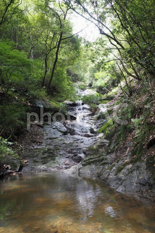 山の中の小さな滝 水面,流れ,滝の写真素材
