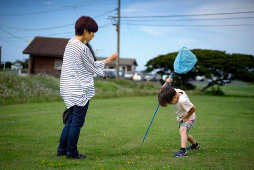 <素材>芝生の公園で虫取りをする親子 <素材>芝生の公園で虫取りをする親子 女性,子供,男性の写真素材