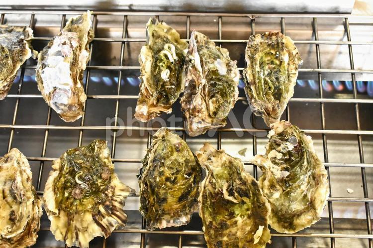 調理中の牡蠣 牡蠣,貝,魚介類の写真素材
