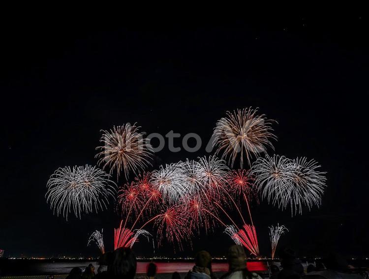 習志野花火大会（1日目） 習志野花火大会,花火,fireworksの写真素材