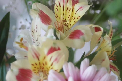 アルストロメリアの花束 アルストロメリアの花束の写真