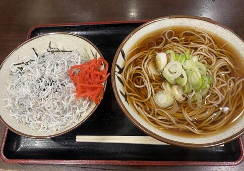 そば　しらす丼 しらす,しらす丼,紅生姜の写真素材