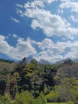 里山にて 里山にての写真