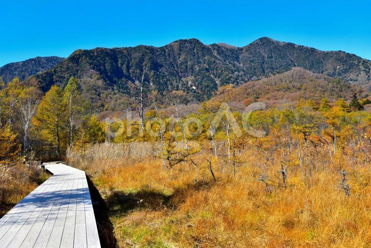 奥日光の紅葉（栃木日光） 紅葉,秋,秋色の写真素材