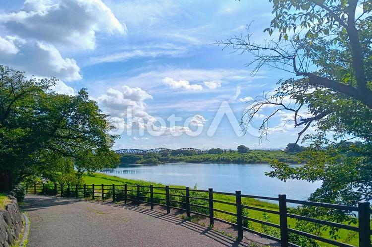 木曽川河川敷 風景,自然,背景の写真素材