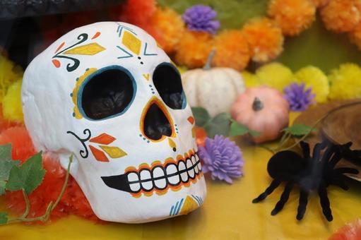 カラベラ カラベラ カラベラ,メキシコ,死者の日の写真素材