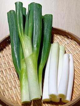 長ネギ 長ネギ,野菜,食材の写真素材