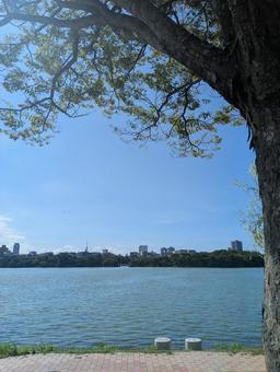 大濠公園 大濠公園の写真