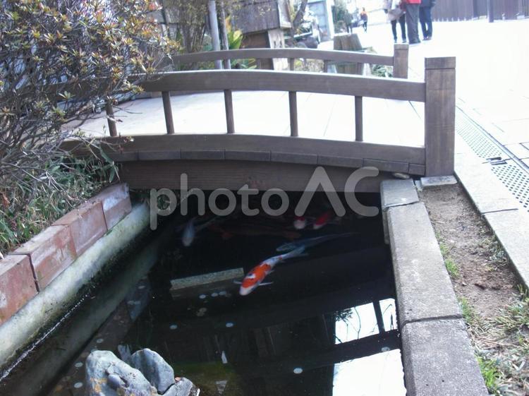 古風な町の橋と川と鯉 ビル,不幸,何人もありませんの写真素材