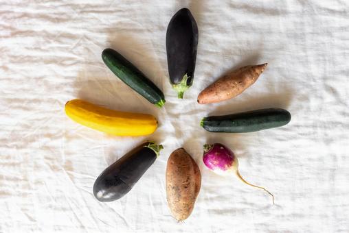 中央に並ぶ色々な野菜 中央に並ぶ色々な野菜の写真