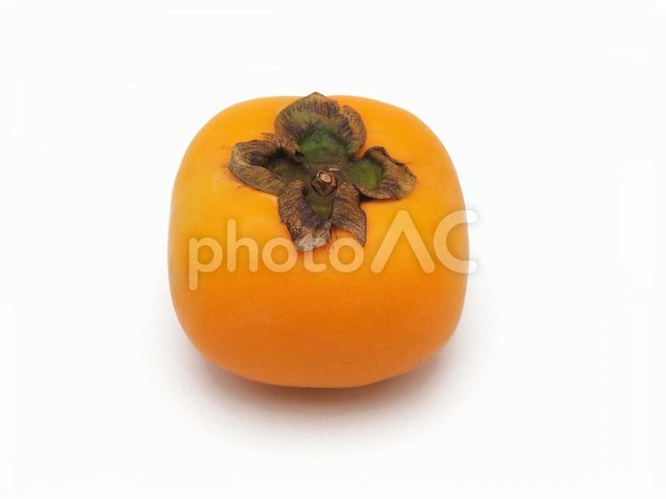白背景で撮影した柿 柿,かき,カキの写真素材