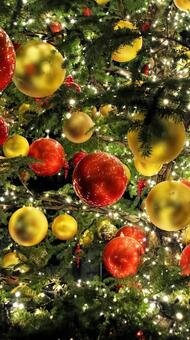 はままつフラワーパーク　イルミネーション イルミネーション,クリスマス,夜景の写真素材