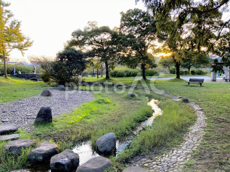 自然 背景,風景,自然の写真素材
