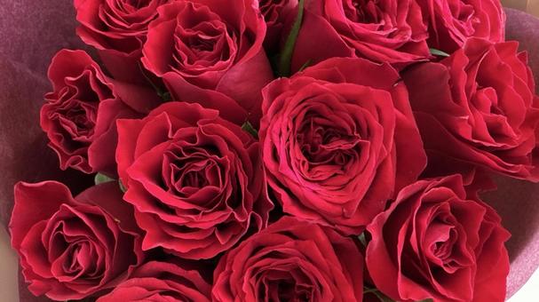 真っ赤なバラの花束の接写 真っ赤なバラの花束の接写 バラ,真っ赤,深紅の写真素材