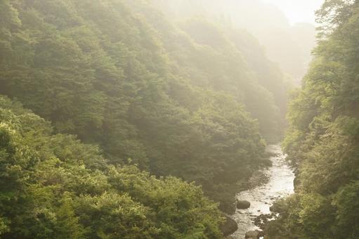 Photo, chuan, early morning, fog, 