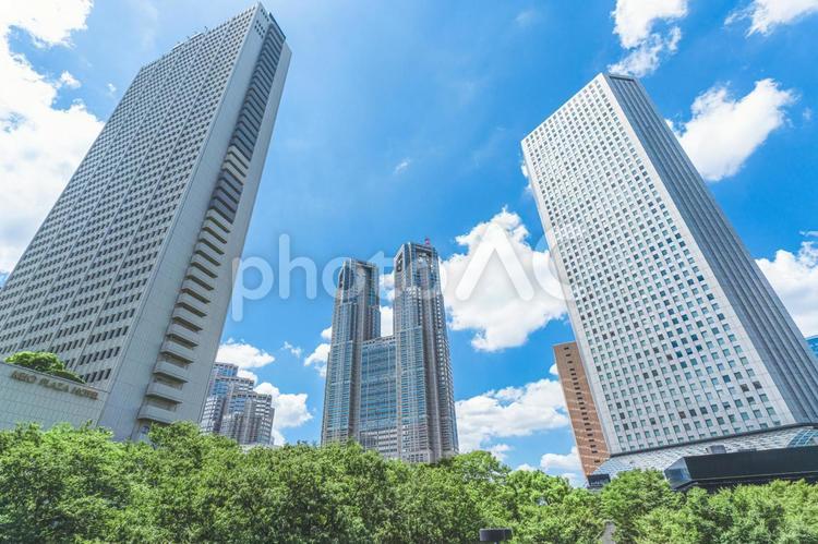 東京都庁と西新宿の高層ビル群 西新宿,高層ビル,都市の風景の写真素材