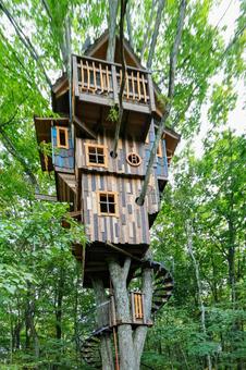 ツリーハウス ツリーハウス ツリーハウス,冒険,秋の写真素材
