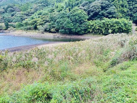 呉ダム　秋の公園の写真