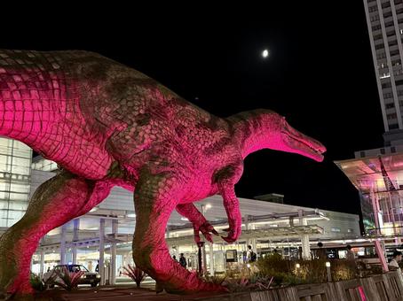 ピンク色に照らされる恐竜広場 2025年 ピンク色に照らされる恐竜広場 2025年 オフィスビル,照明,スポットライトの写真素材