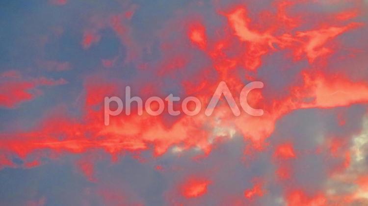 ６月下旬の池の朝焼け 背景,朝焼け,黄昏の写真素材
