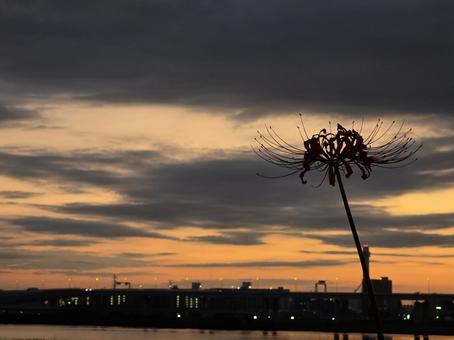 朝焼けと彼岸花 朝焼けと彼岸花 秋,空,朝焼けの写真素材