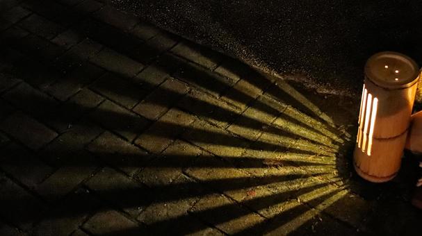 秋の遊歩道を照らす竹灯り 竹灯り,夜景,ライトアップの写真素材