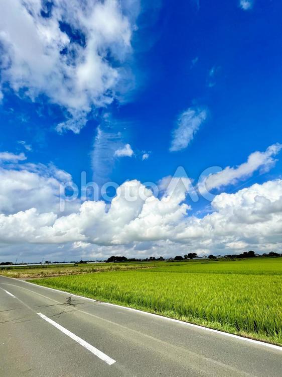 夏空と田園風景　23-2 田園風景,田園,田んぼの写真素材