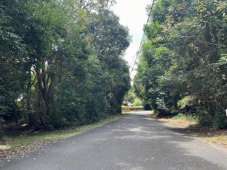 田舎道3 田舎道3の写真