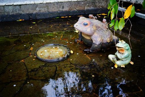 水盤の親子カエルの置物 水盤の親子カエルの置物 カエル,蛙,親子の写真素材