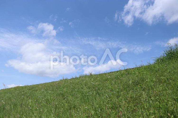 土手と青い空2（4月撮影） 土手,空,緑の写真素材
