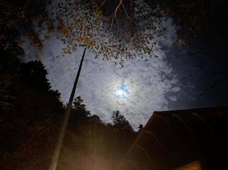 県民の森の夜 県民の森の夜の写真