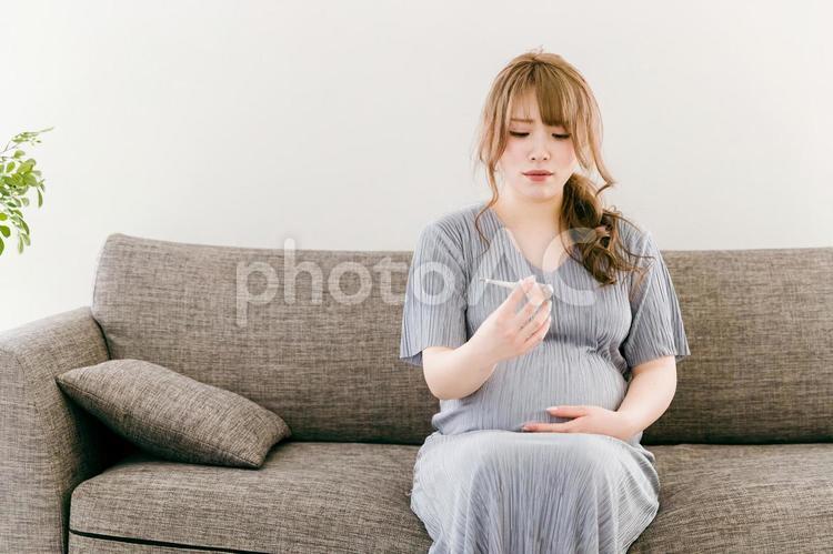 体温計を見て驚く妊婦の日本人女性（困る） 妊娠,妊婦,発熱の写真素材