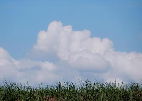 【空の写真】夏空 【空の写真】夏空の写真