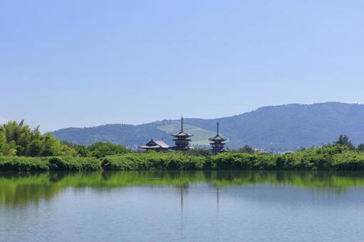 薬師寺東塔 6月 薬師寺東塔 6月 薬師寺,晴天,薬師寺東塔の写真素材