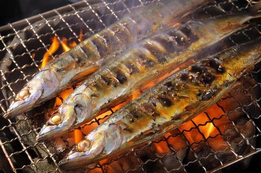 炭火で焼く秋刀魚 炭火で焼く秋刀魚の写真