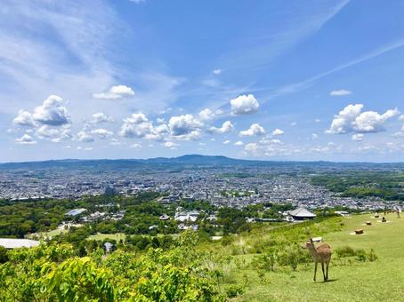 若草山から望む奈良市街 若草山,一重目,頂上の写真素材