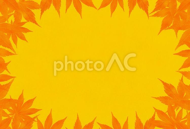 黄色とオレンジ色の和紙と紅葉の背景 背景,秋,黄色の写真素材